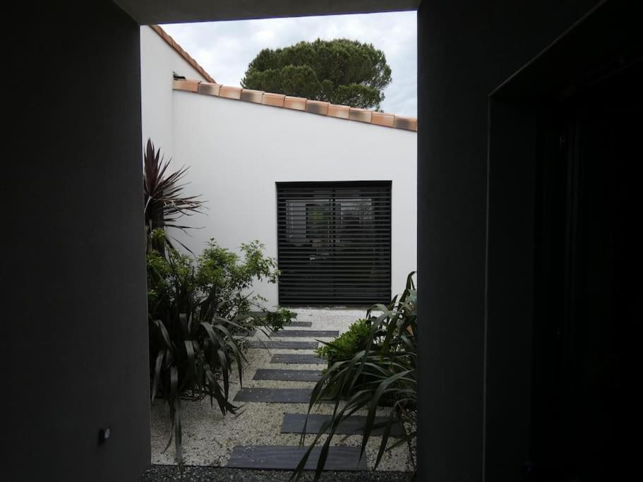Villa Moderne Avec Piscine Albi Eksteriør billede