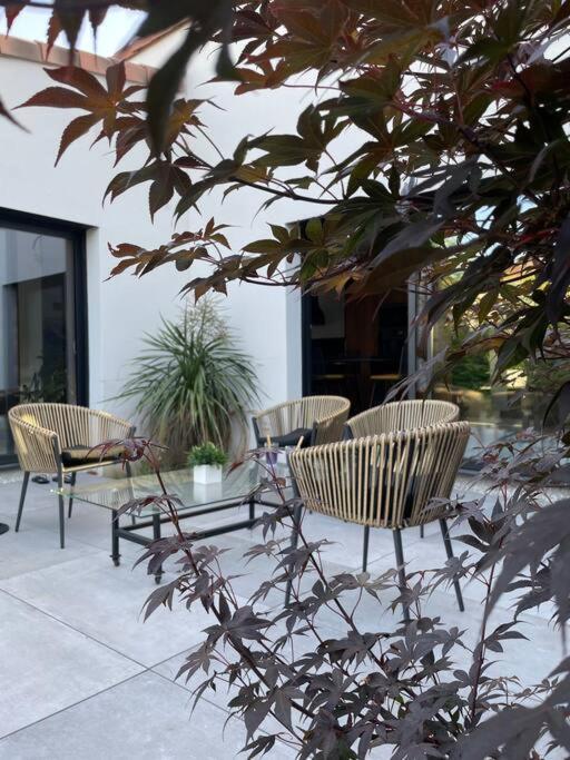 Villa Moderne Avec Piscine Albi Eksteriør billede