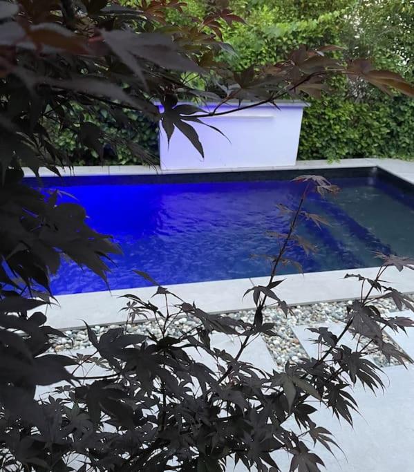 Villa Moderne Avec Piscine Albi Eksteriør billede